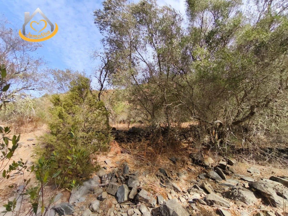 Finca/Herregård til salgs i Sanlucar de Guadiana - € 63 000 (Ref: 9974929)