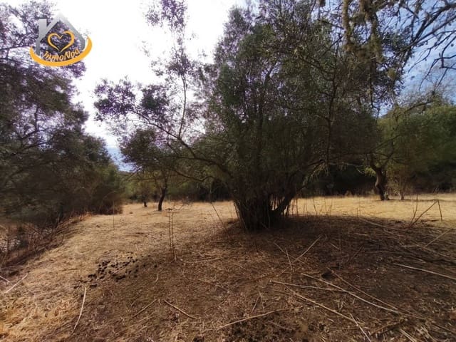 Finca/Casa Rural en Sanlúcar de Guadiana en venta - 63.000 € (Ref: 9974929)