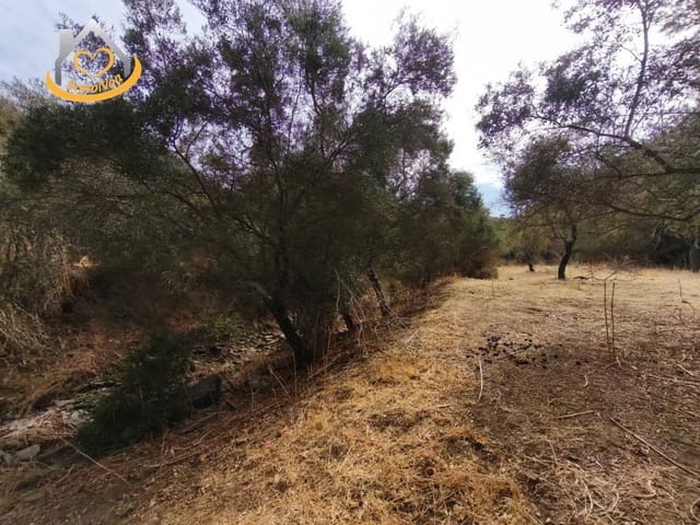 Finca/Casa Rural en Sanlúcar de Guadiana en venta - 63.000 € (Ref: 9974929)