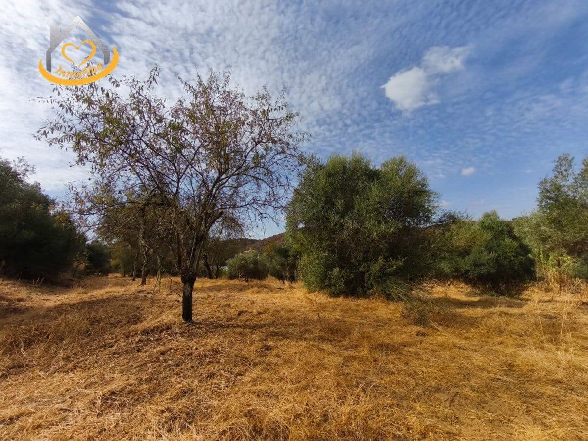 Finca/Herregård til salgs i Sanlucar de Guadiana - € 63 000 (Ref: 9974929)