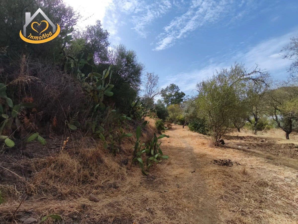 Finca/Herregård til salgs i Sanlucar de Guadiana - € 63 000 (Ref: 9974929)