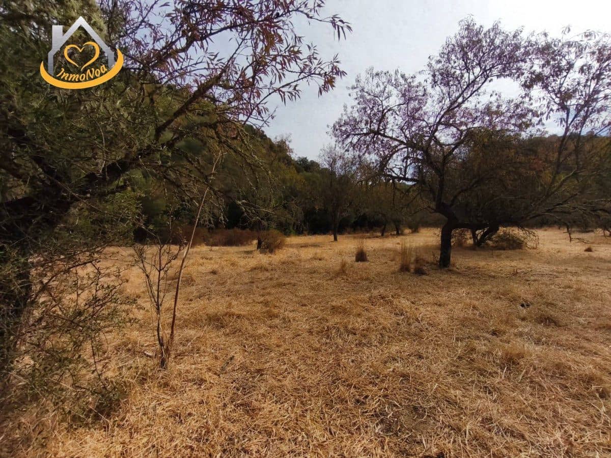 Finca/Herregård til salgs i Sanlucar de Guadiana - € 63 000 (Ref: 9974929)