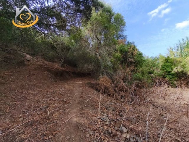 Finca/Casa Rural en Sanlúcar de Guadiana en venta - 63.000 € (Ref: 9974929)