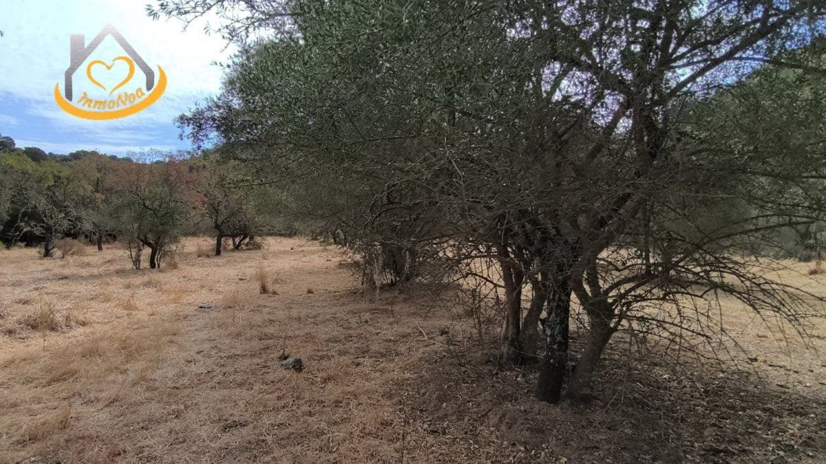 Finca/Herregård til salgs i Sanlucar de Guadiana - € 63 000 (Ref: 9974929)