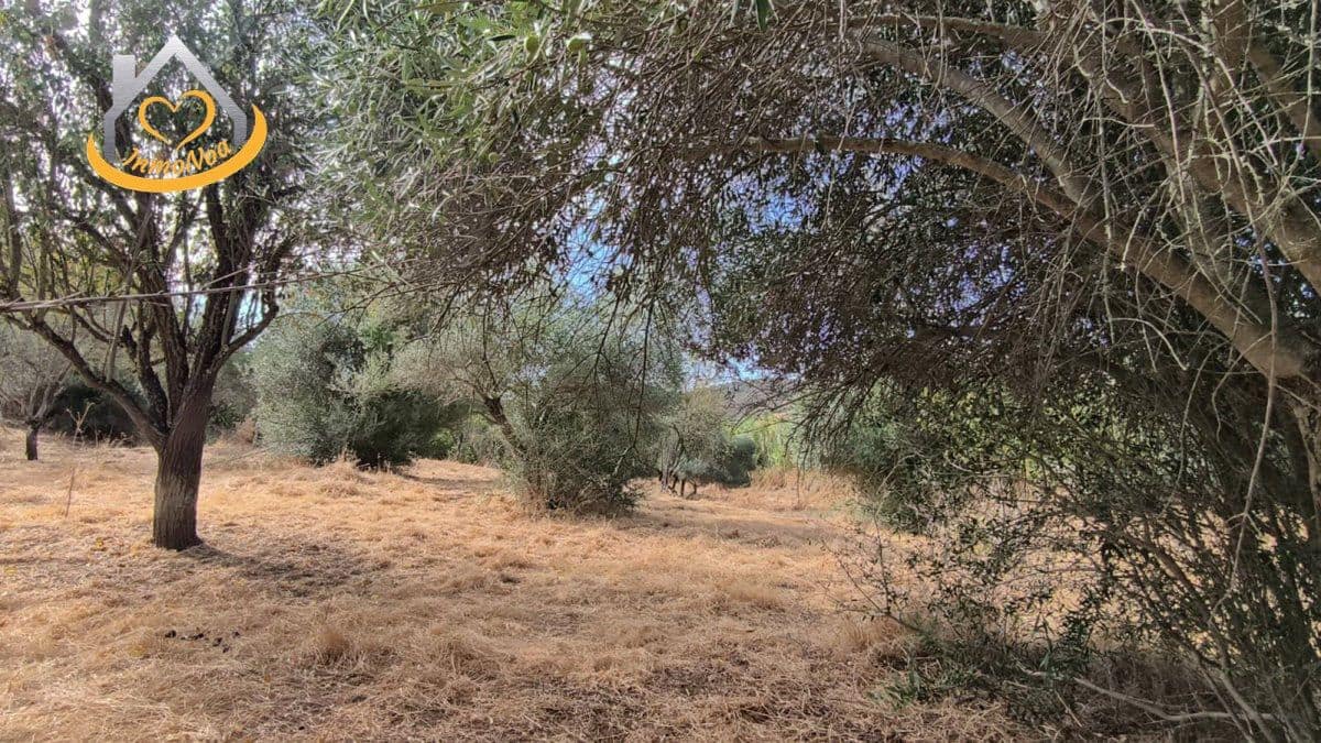 Finca/Herregård til salgs i Sanlucar de Guadiana - € 63 000 (Ref: 9974929)