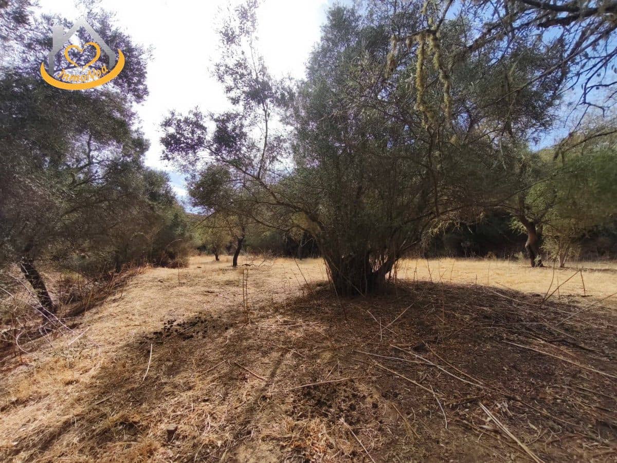 Finca/Herregård til salgs i Sanlucar de Guadiana - € 63 000 (Ref: 9974929)