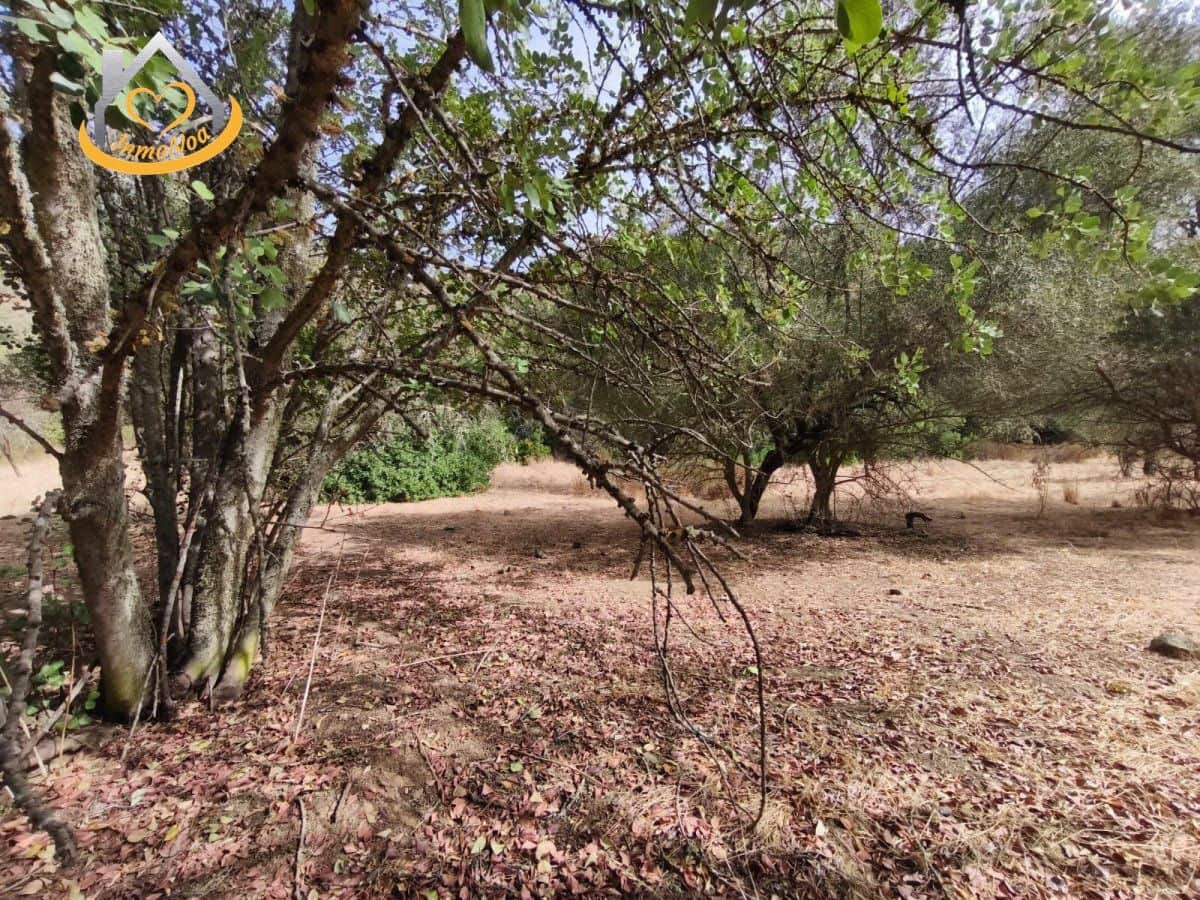 Finca/Herregård til salgs i Sanlucar de Guadiana - € 63 000 (Ref: 9974929)