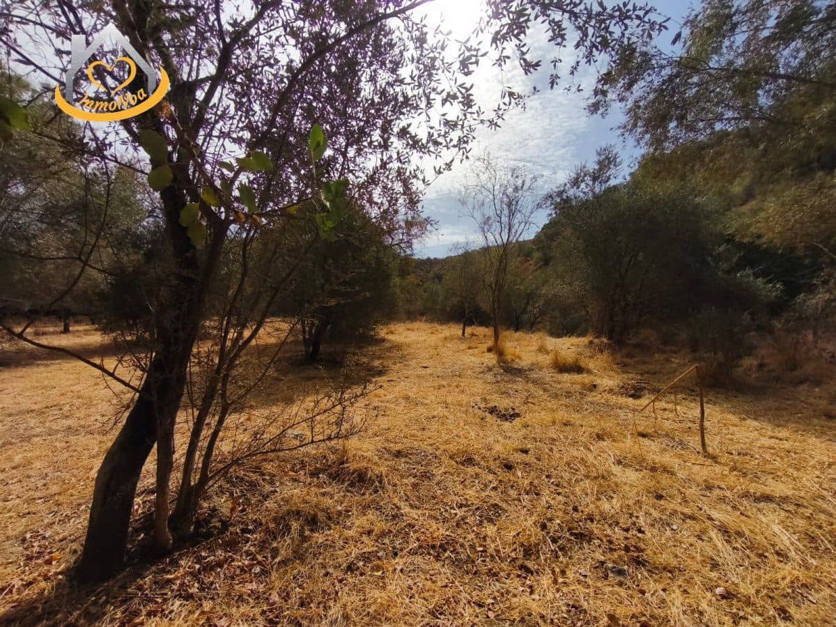 Finca/Herregård til salgs i Sanlucar de Guadiana - € 63 000 (Ref: 9974929)