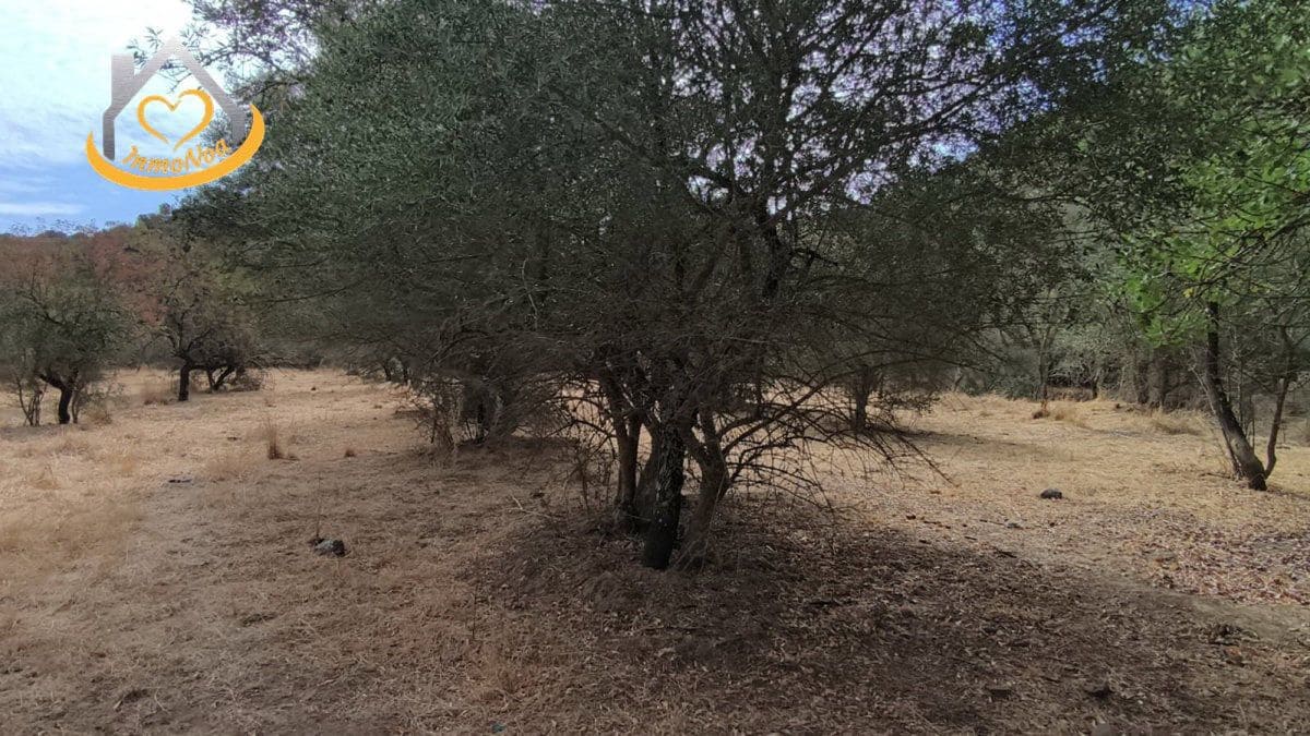 Finca/Herregård til salgs i Sanlucar de Guadiana - € 63 000 (Ref: 9974929)