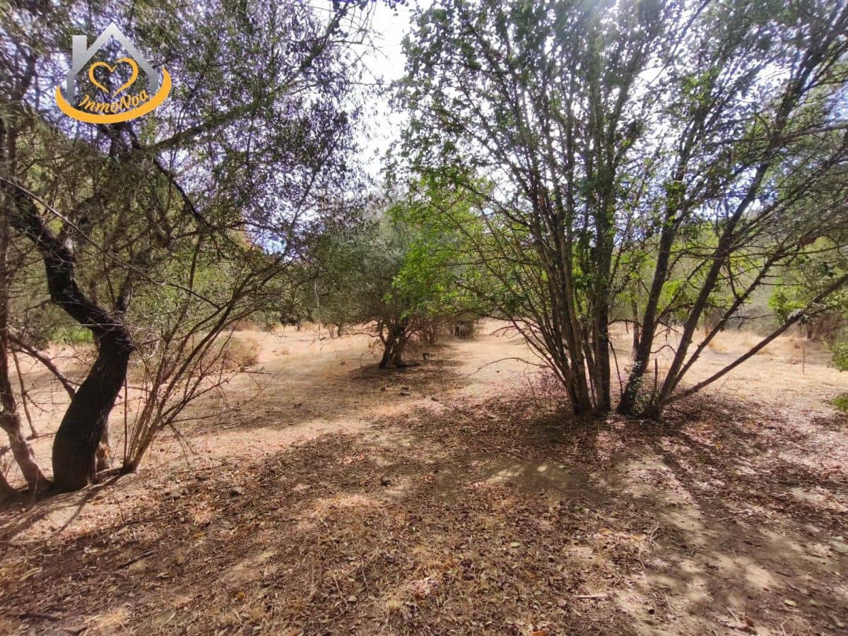 Finca/Herregård til salgs i Sanlucar de Guadiana - € 63 000 (Ref: 9974929)