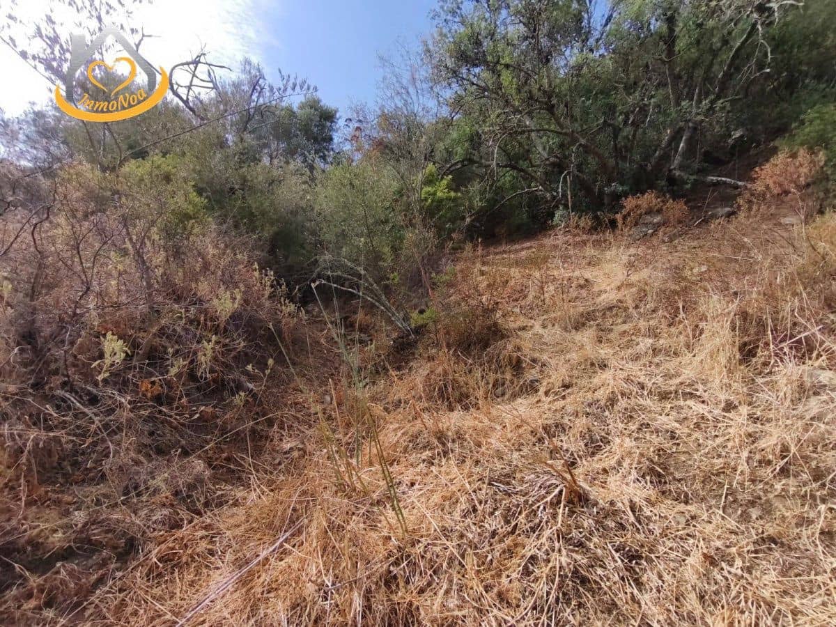Finca/Herregård til salgs i Sanlucar de Guadiana - € 63 000 (Ref: 9974929)