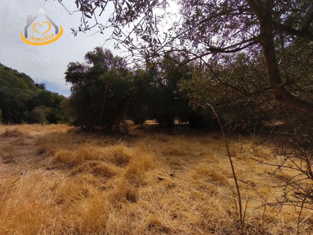 Finca/Herregård til salgs i Sanlucar de Guadiana - € 63 000 (Ref: 9974929)