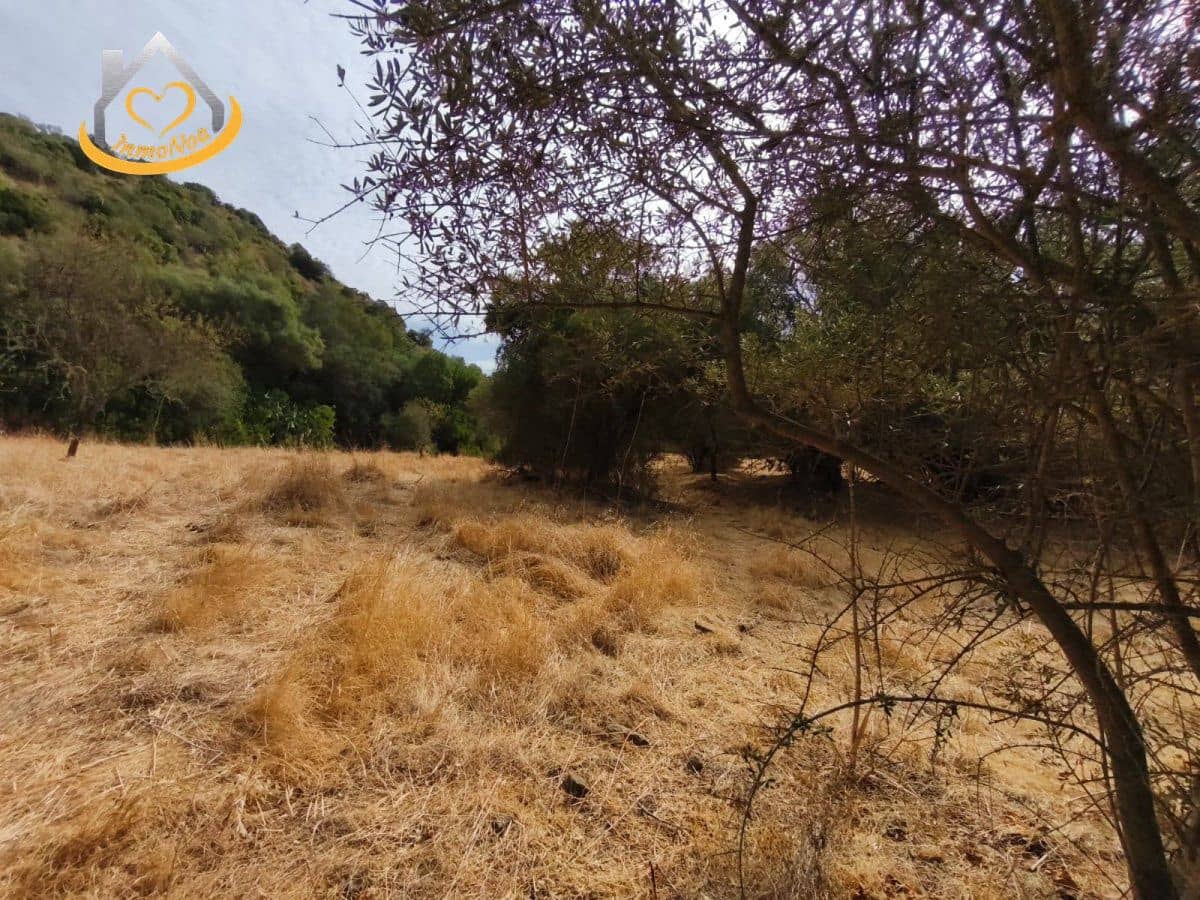 Finca/Herregård til salgs i Sanlucar de Guadiana - € 63 000 (Ref: 9974929)