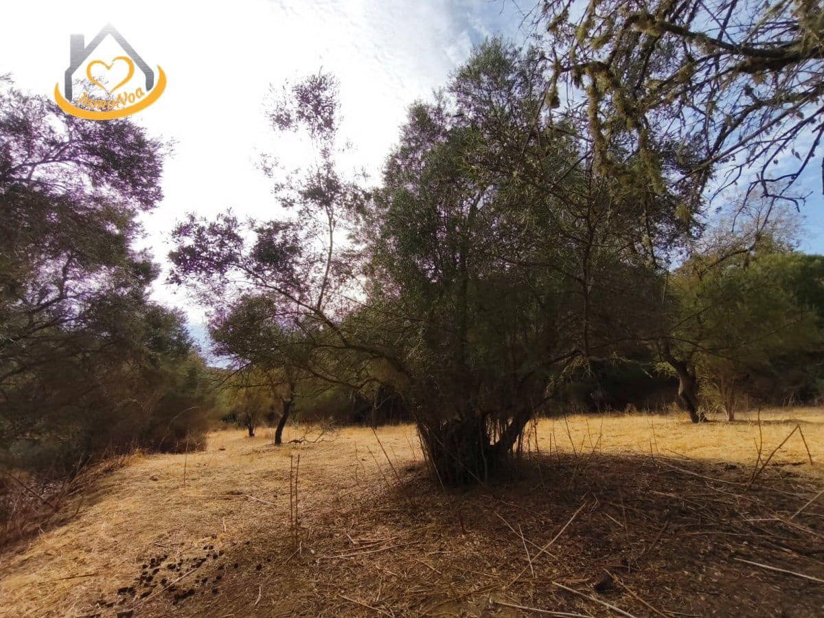Finca/Herregård til salgs i Sanlucar de Guadiana - € 63 000 (Ref: 9974929)