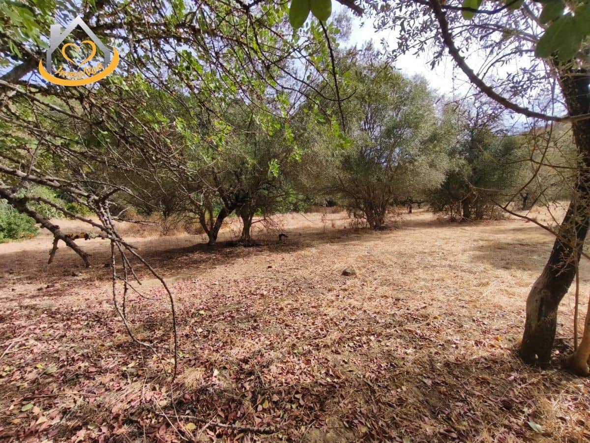 Finca/Herregård til salgs i Sanlucar de Guadiana - € 63 000 (Ref: 9974929)
