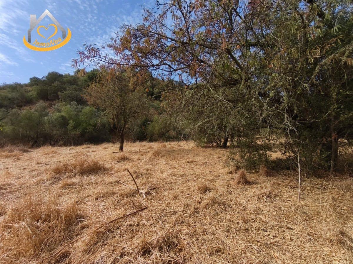 Finca/Herregård til salgs i Sanlucar de Guadiana - € 63 000 (Ref: 9974929)