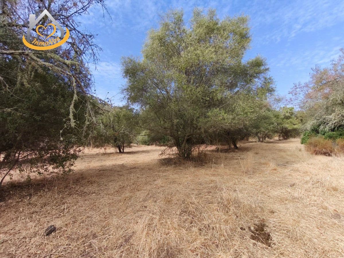 Finca/Herregård til salgs i Sanlucar de Guadiana - € 63 000 (Ref: 9974929)