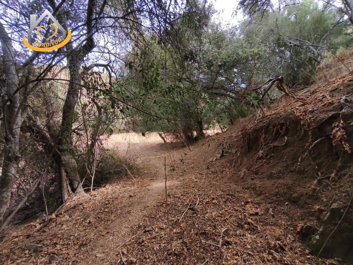 Finca/Herregård til salgs i Sanlucar de Guadiana - € 63 000 (Ref: 9974929)