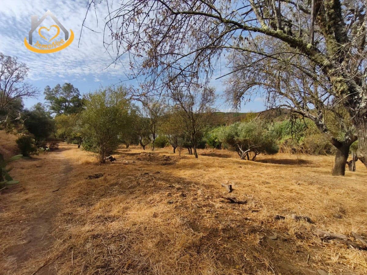 Finca/Herregård til salgs i Sanlucar de Guadiana - € 63 000 (Ref: 9974929)