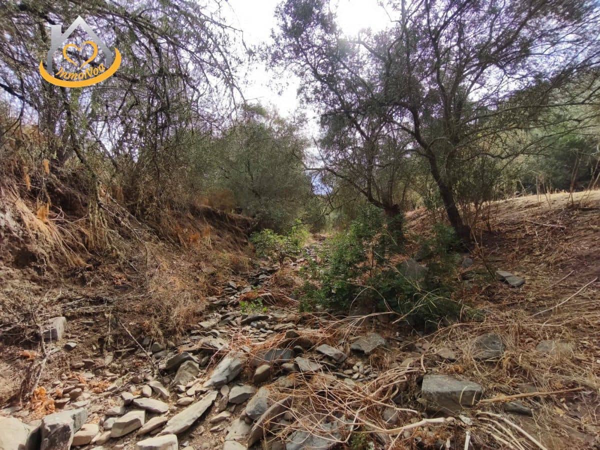 Finca/Herregård til salgs i Sanlucar de Guadiana - € 63 000 (Ref: 9974929)