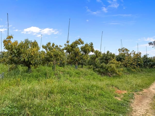 1 sypialnia Willa na sprzedaż w Sotogrande, San Roque z garażem - 2 250 000 € (Ref: 9329656)