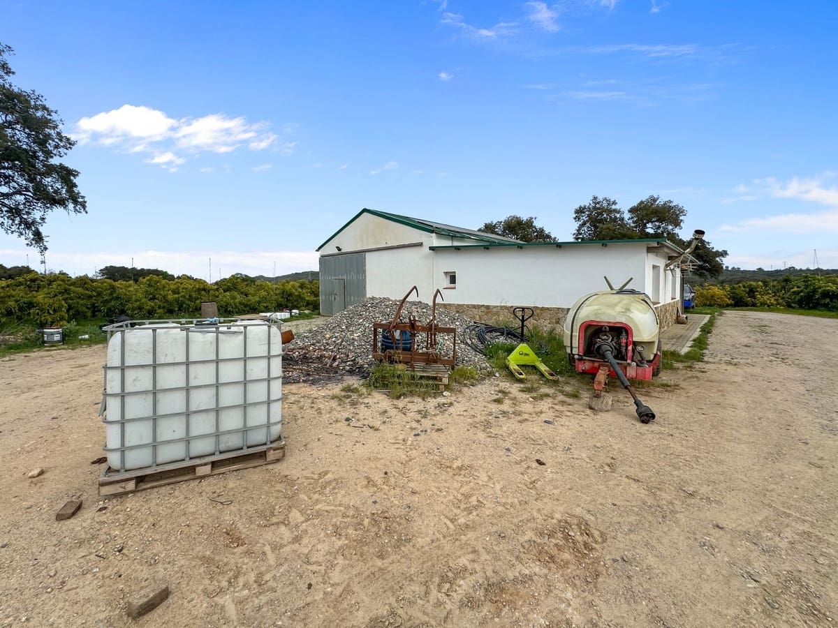 1 Zimmer Villa zu verkaufen in Sotogrande mit Garage - 2.250.000 € (Ref: 9329656)