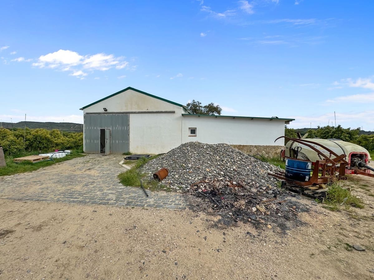 1 Zimmer Villa zu verkaufen in Sotogrande mit Garage - 2.250.000 € (Ref: 9329656)