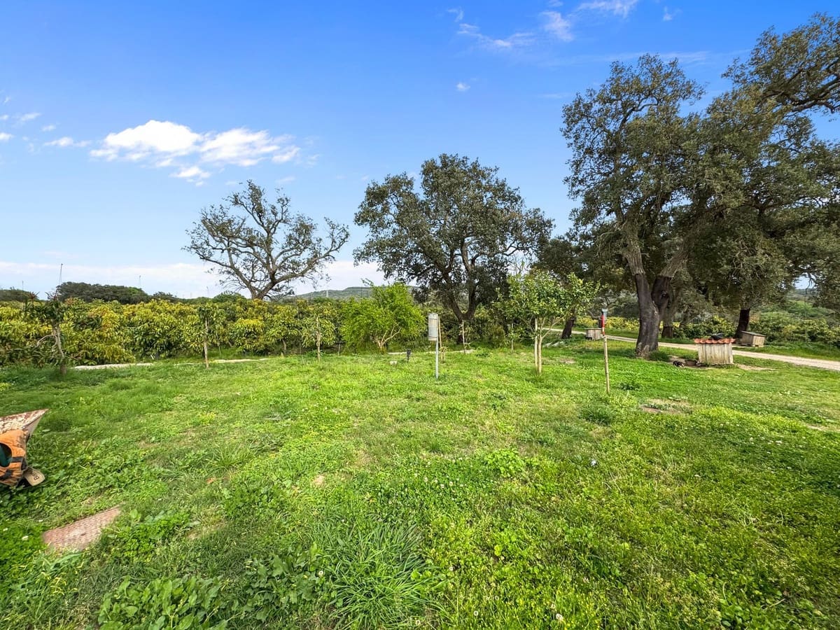 1 Zimmer Villa zu verkaufen in Sotogrande mit Garage - 2.250.000 € (Ref: 9329656)