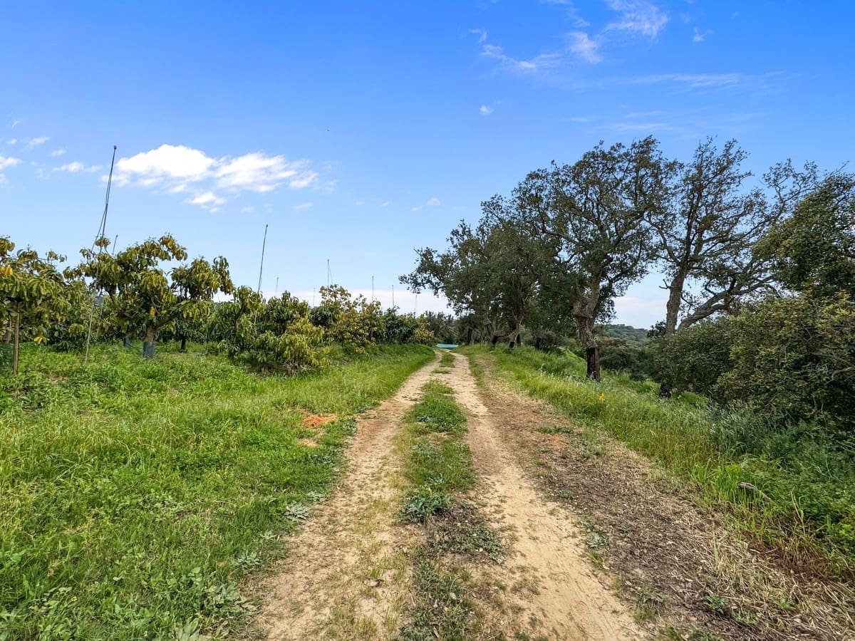 1 Zimmer Villa zu verkaufen in Sotogrande mit Garage - 2.250.000 € (Ref: 9329656)