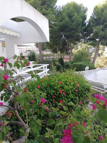 2 soveværelse Lejlighed til salg i Cala Vinyes / Cala Vinyas / Cala Viñas, Calvià med swimmingpool - € 444.444 (Ref: 9335639)