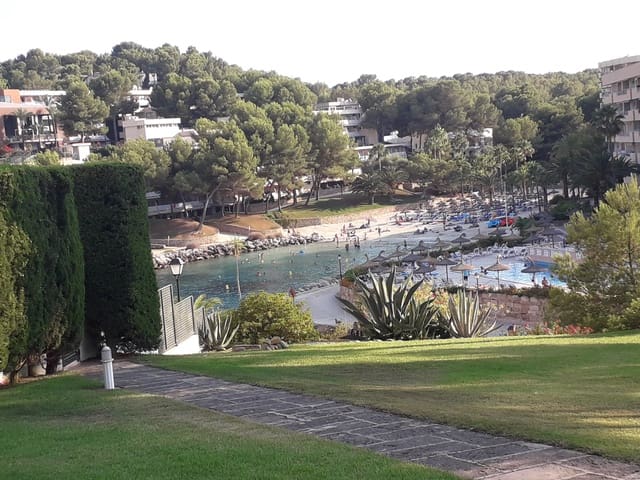 2 soveværelse Lejlighed til salg i Cala Vinyes / Cala Vinyas / Cala Viñas, Calvià med swimmingpool - € 444.444 (Ref: 9335639)