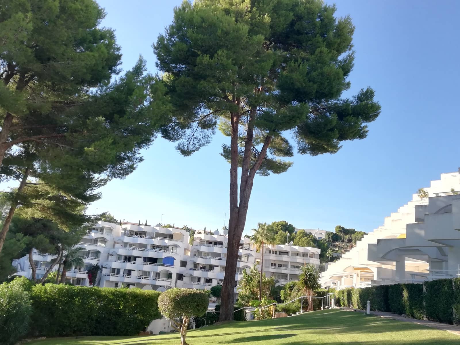 2 soveværelse Lejlighed til salg i Cala Vinyes / Cala Vinyas / Cala Vinas med swimmingpool - € 444.444 (Ref: 9335639)