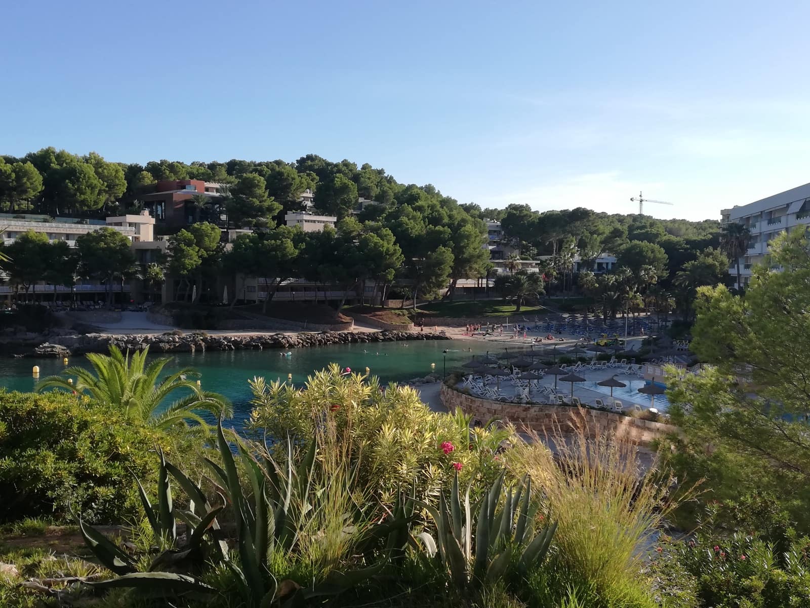 2 soveværelse Lejlighed til salg i Cala Vinyes / Cala Vinyas / Cala Vinas med swimmingpool - € 444.444 (Ref: 9335639)