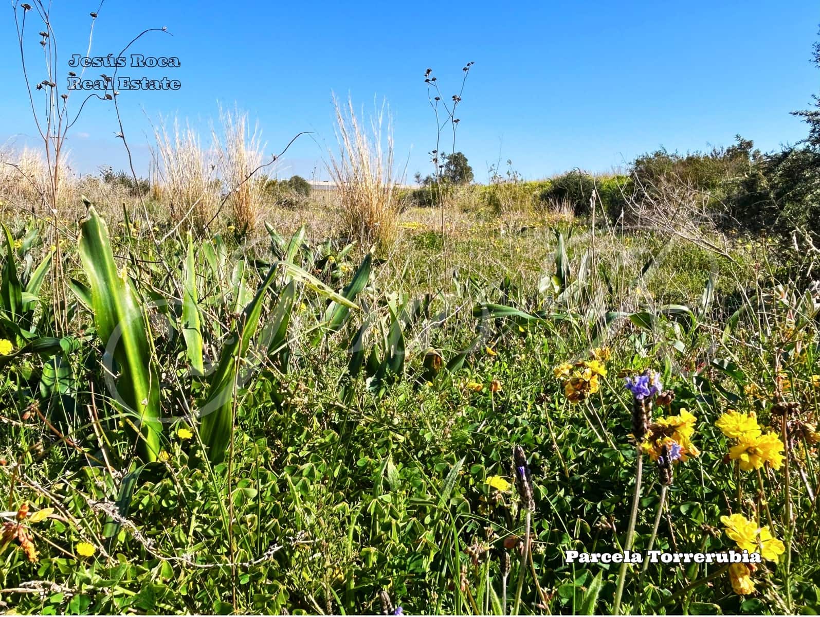 Quinta/Casa Rural para venda em La Magdalena - 99 000 € (Ref: 9537045)