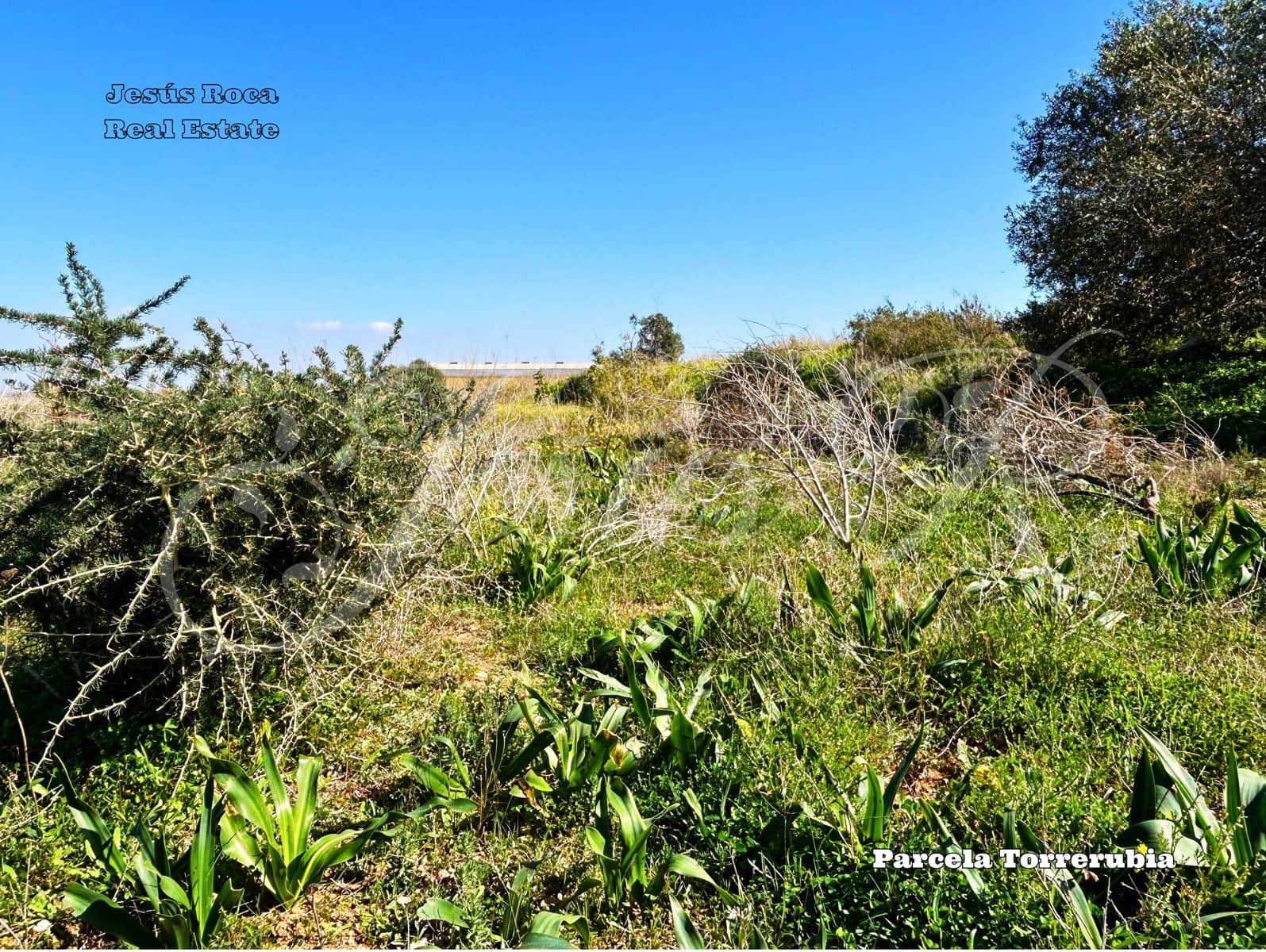 Quinta/Casa Rural para venda em La Magdalena - 99 000 € (Ref: 9537045)