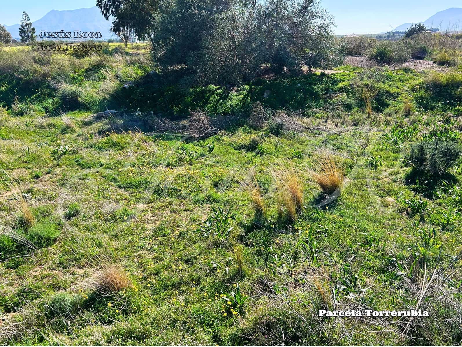 Quinta/Casa Rural para venda em La Magdalena - 99 000 € (Ref: 9537045)