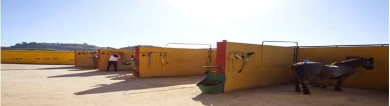 3 quarto Empresa para venda em Llosa de Ranes com garagem - 1 200 000 € (Ref: 9505925)