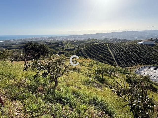 2 makuuhuone Maalaistalo myytävänä paikassa Vélez-Málaga mukana uima-altaan - 505 000 € (Ref: 9446769)