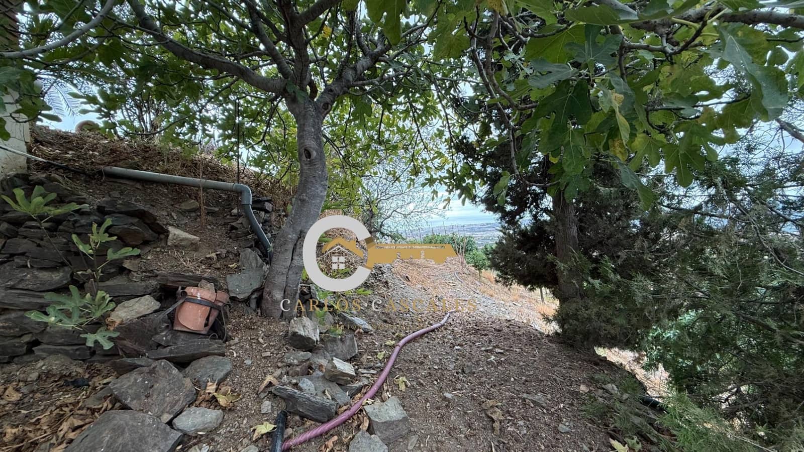 2 sypialnia Finka/Dom wiejski na sprzedaż w Velez-Malaga z basenem - 505 000 € (Ref: 9446769)