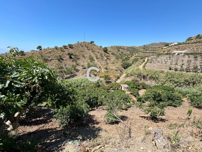 Finca/Casa Rural de 3 habitaciones en Benajarafe en venta con garaje - 365.000 € (Ref: 9894370)