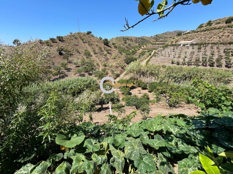 Finca/Casa Rural de 3 habitaciones en Benajarafe en venta con garaje - 365.000 € (Ref: 9894370)