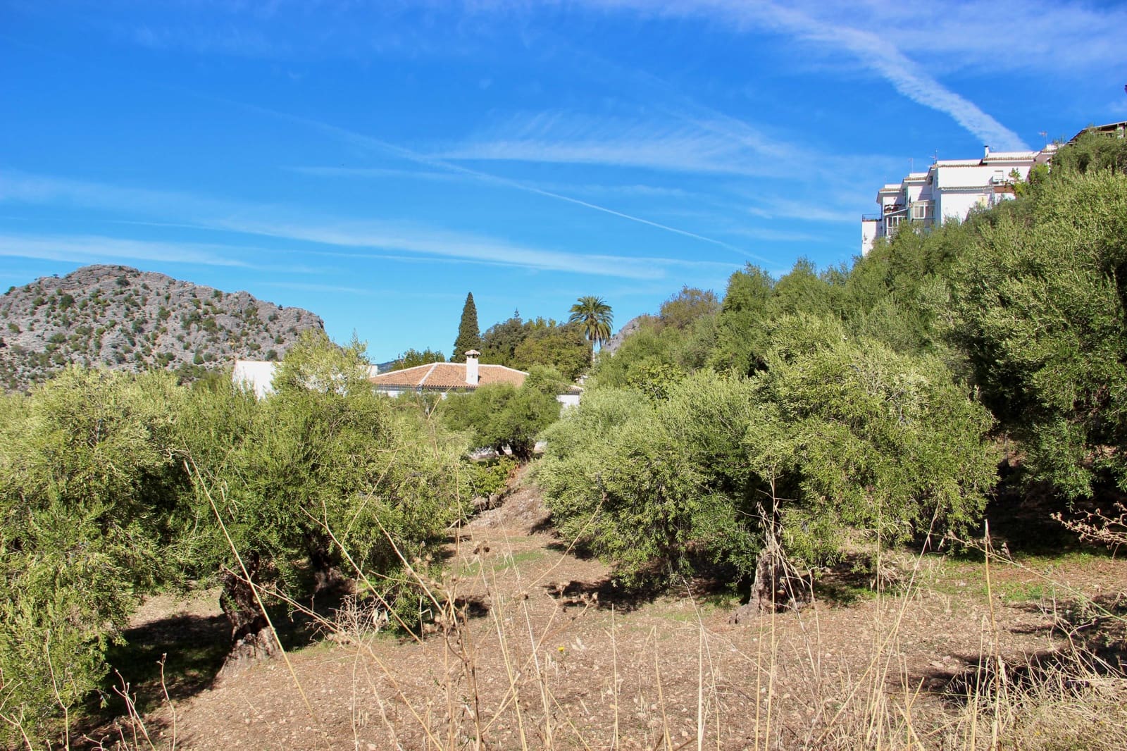 4 soveværelse Finca/Landehus til salg i Benaocaz med swimmingpool garage - € 360.000 (Ref: 9345682)