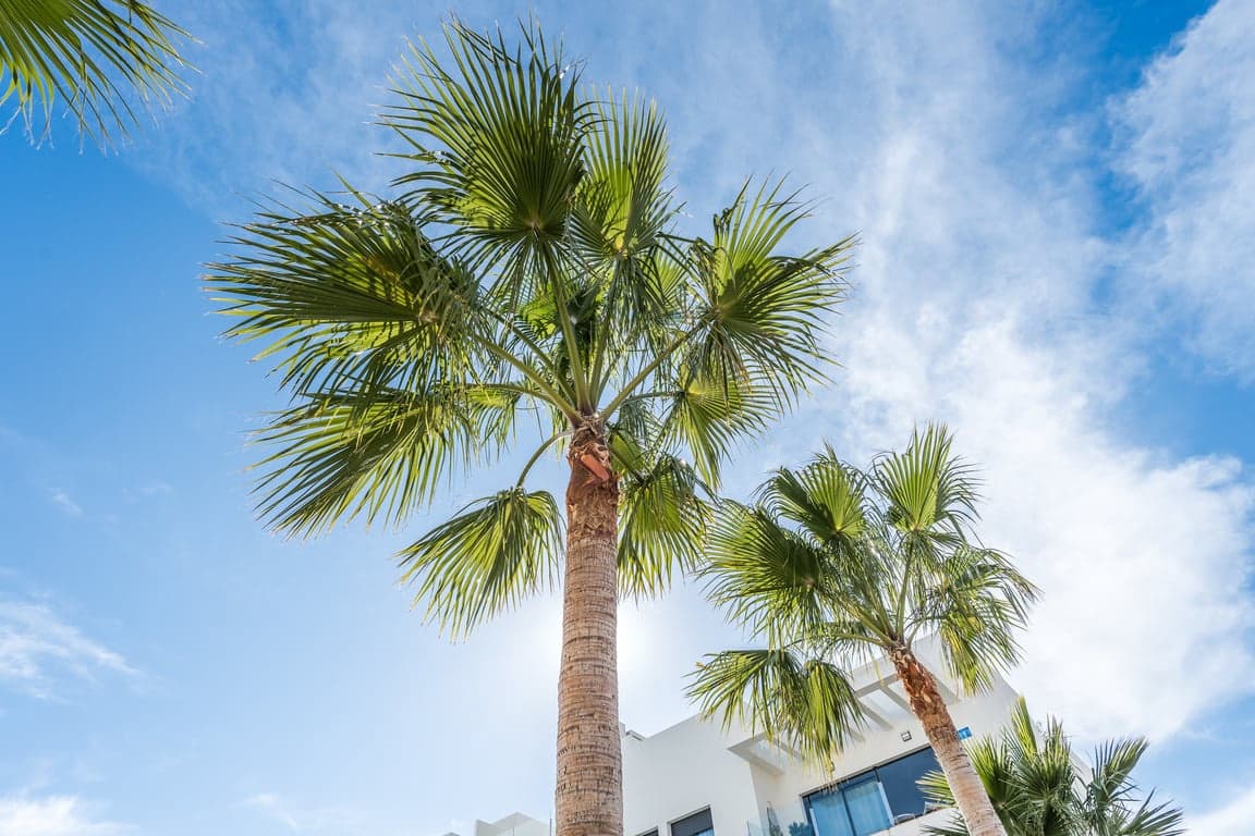 3 chambre Appartement à vendre à Javea / Xabia avec piscine garage - 510 000 € (Ref: 9750939)