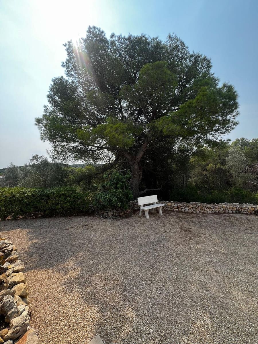 Terre non Aménagée à vendre à El Perello - 350 000 € (Ref: 9379580)