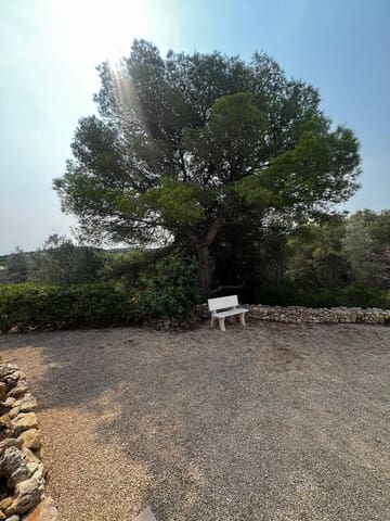 Terre non Aménagée à vendre à El Perelló - 350 000 € (Ref: 9379580)