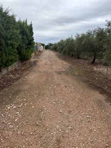 Terreno Não Urbanizado para venda em Mont-roig del Camp - 90 000 € (Ref: 9538627)