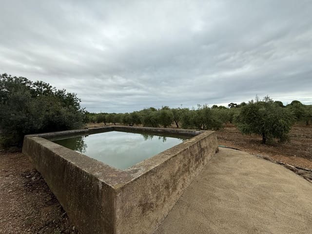 Terreno Não Urbanizado para venda em Mont-roig del Camp - 90 000 € (Ref: 9538627)