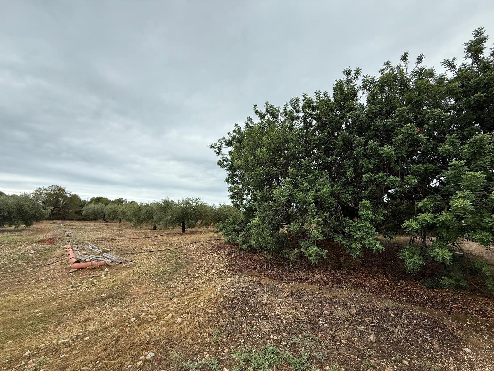 Terreno Não Urbanizado para venda em Mont-roig del Camp - 90 000 € (Ref: 9538627)