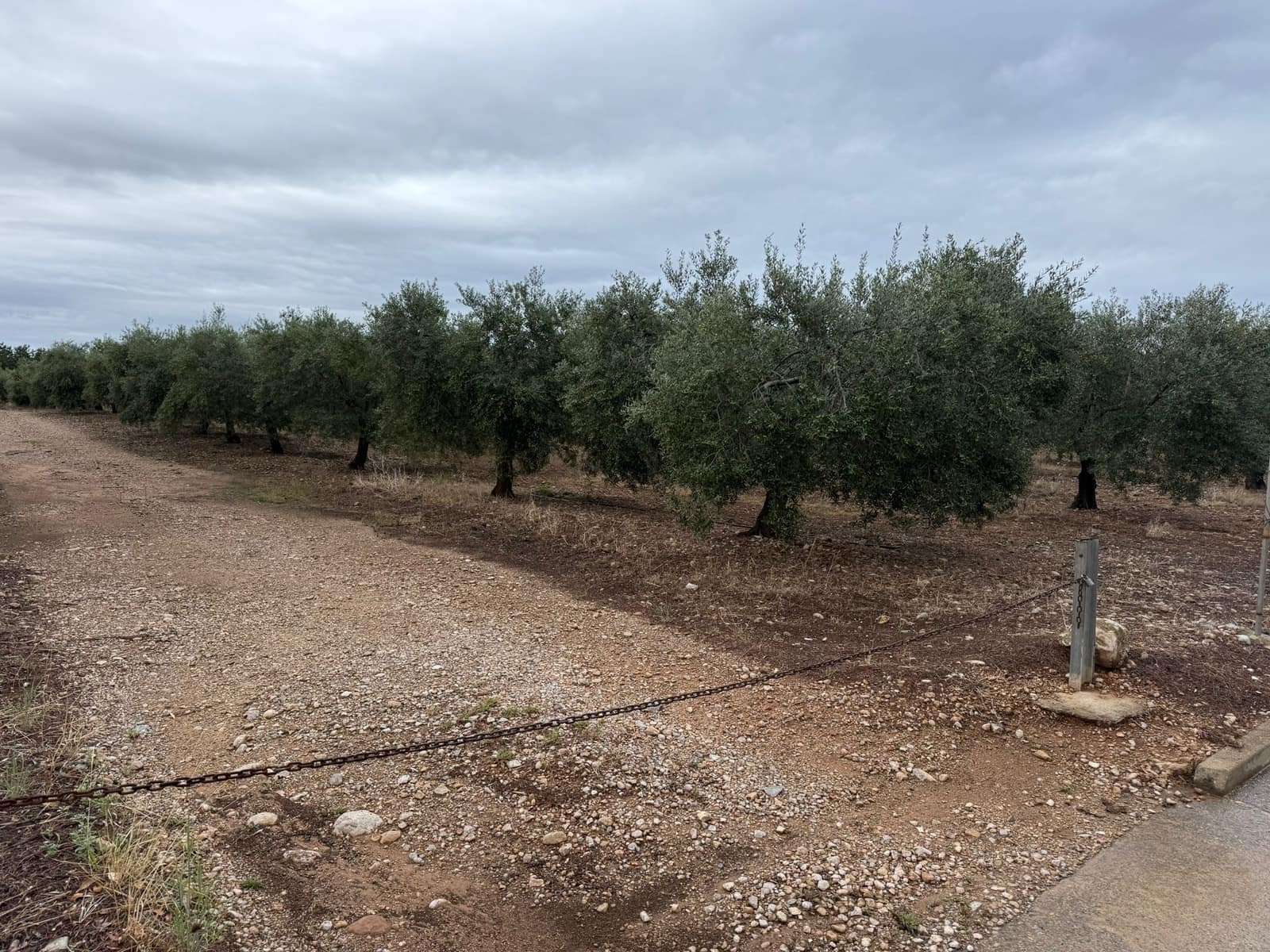 Terreno Não Urbanizado para venda em Mont-roig del Camp - 90 000 € (Ref: 9538627)