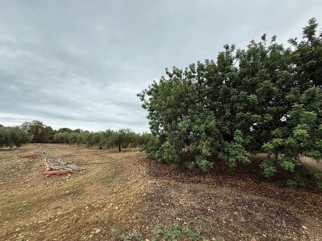 Terreno Não Urbanizado para venda em Mont-roig del Camp - 90 000 € (Ref: 9538627)